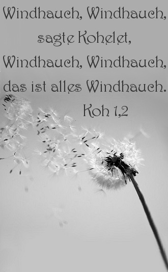 18C_Windhauch